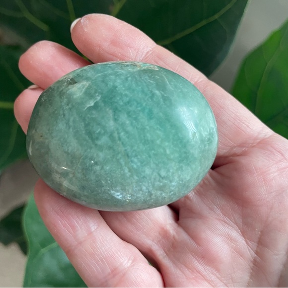 Four piece Crystal collection. Selenite, petrified wood, Amazon, Jasper, - Picture 7 of 7